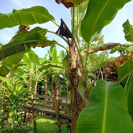 Banana Grove El Nido Hotel Exterior photo
