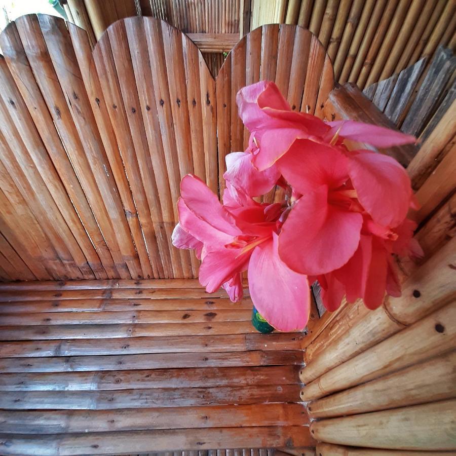 Inn Banana Grove