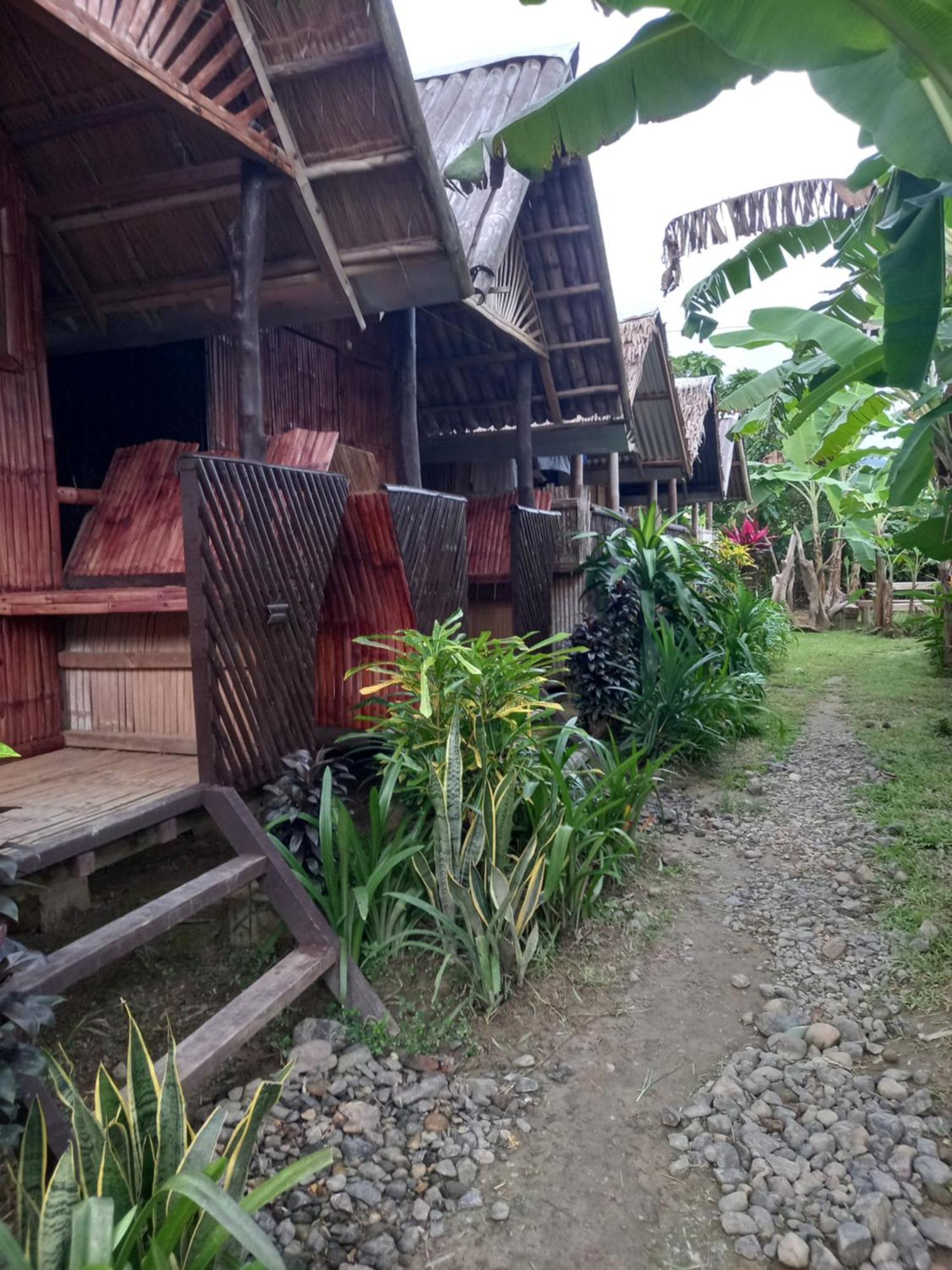 Inn Banana Grove